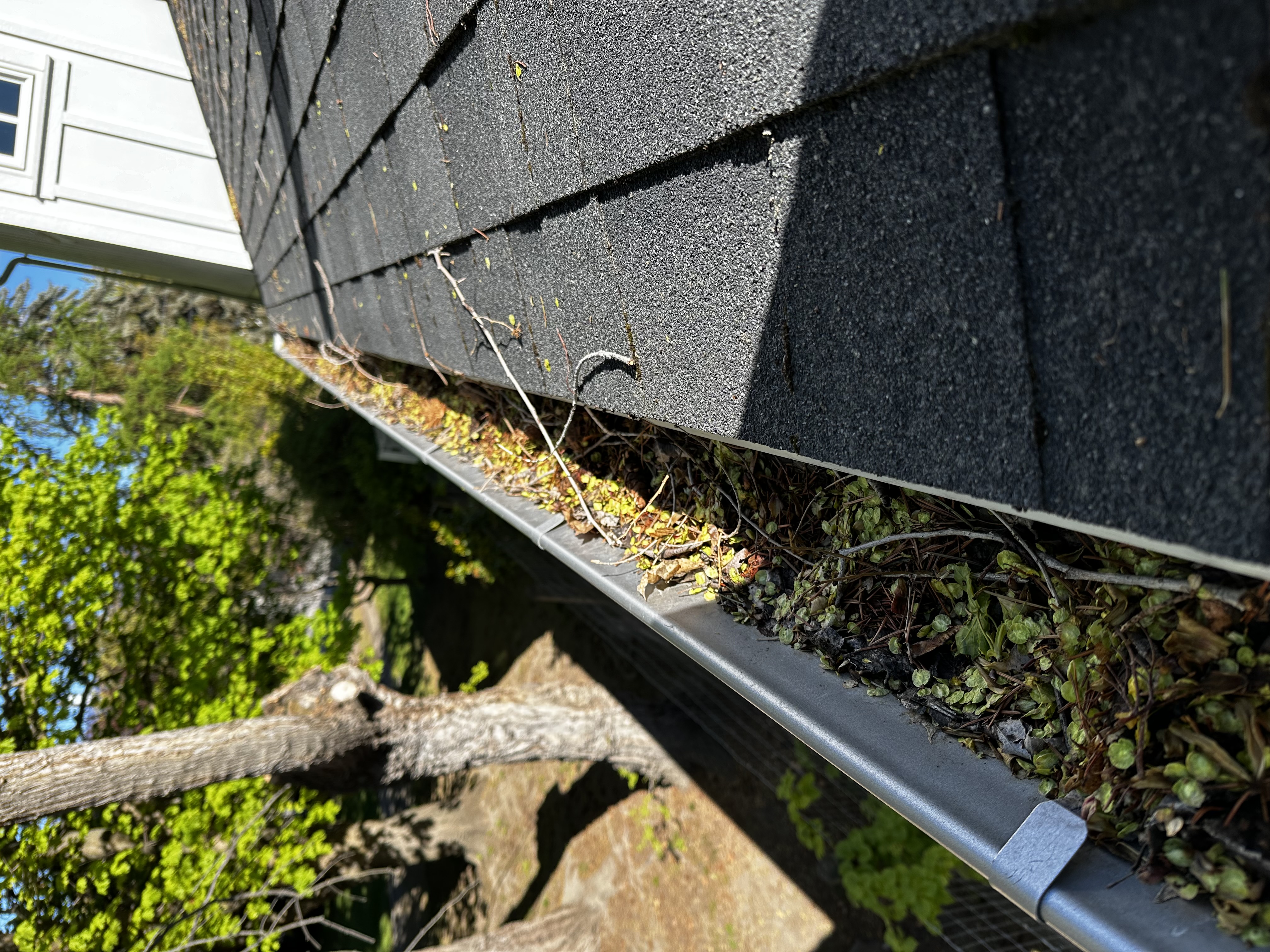 Gutter Cleaning - Kelowna - Before